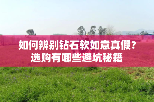 如何辨别钻石软如意真假？选购有哪些避坑秘籍